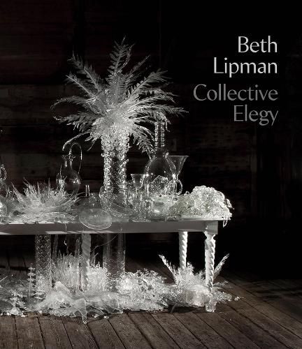 Cover image for Beth Lipman: Collective Elegy