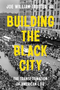 Cover image for Building the Black City