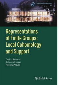 Cover image for Representations of Finite Groups: Local Cohomology and Support