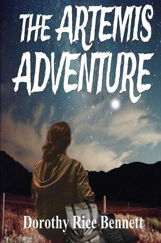 Cover image for The Artemis Adventure