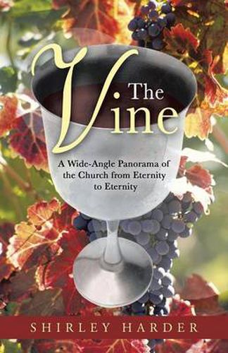 Cover image for The Vine: A Wide-Angle Panorama of the Church from Eternity to Eternity