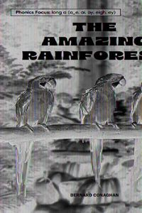 Cover image for The Amazing Rainforest