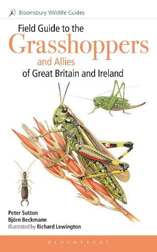 Cover image for Field Guide to the Grasshoppers and Allies of Great Britain and Ireland