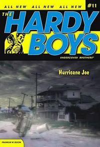 Cover image for Hurricane Joe