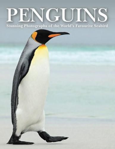 Cover image for Penguins: Stunning Photographs of the World's Favourite Seabird