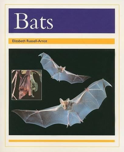 Cover image for Bats: Individual Student Edition Gold (Levels 21-22)