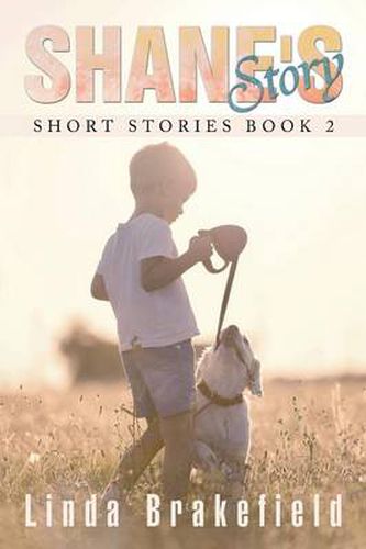 Cover image for Shane's Story: Short Stories Book 2