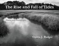 Cover image for The Rise and Fall of Tides