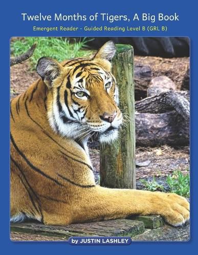 Cover image for Twelve Months of Tigers, A Big Book: Emergent Reader - Guided Reading Level B (GRL B)