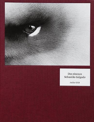 Cover image for Sabastiao Salgado - Des Oiseaux