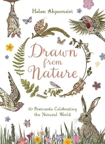 Cover image for Drawn From Nature