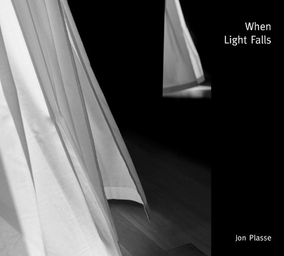 Cover image for When Light Falls