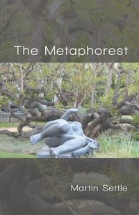 Cover image for The Metaphorest