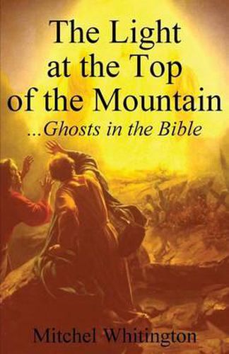 Cover image for The Light at the Top of the Mountain: Ghosts in the Bible