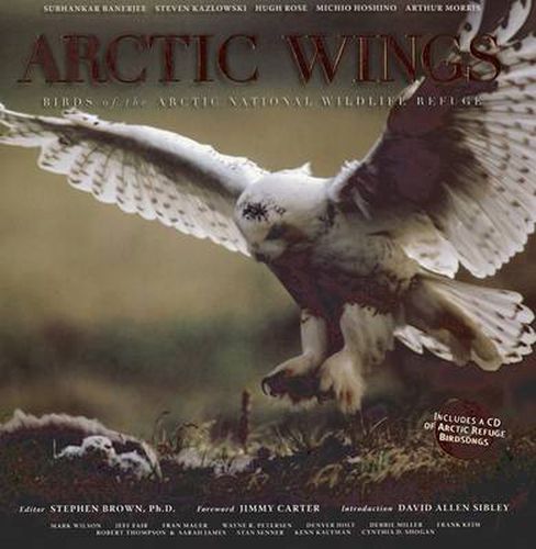 Arctic Wings: Birds of the Arctic National Wildlife Refuge