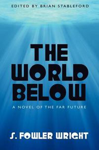 Cover image for The World Below: A Novel of the Far Future