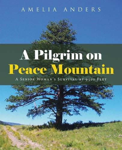 Cover image for A Pilgrim on Peace Mountain: A Senior Woman's Survival at 9500 Feet