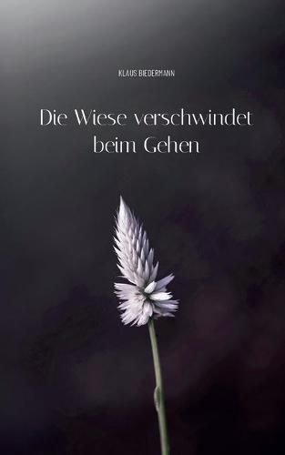 Cover image for Die Wiese verschwindet beim Gehen