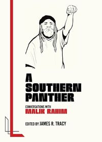 Cover image for A Southern Panther