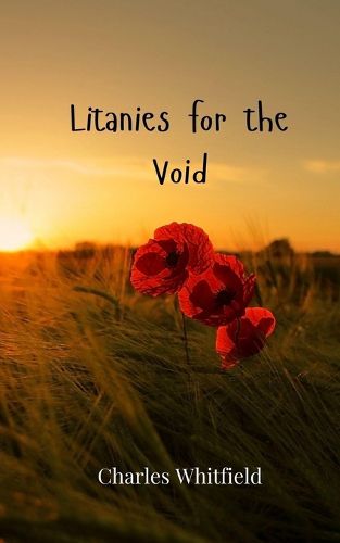 Cover image for Litanies for the Void