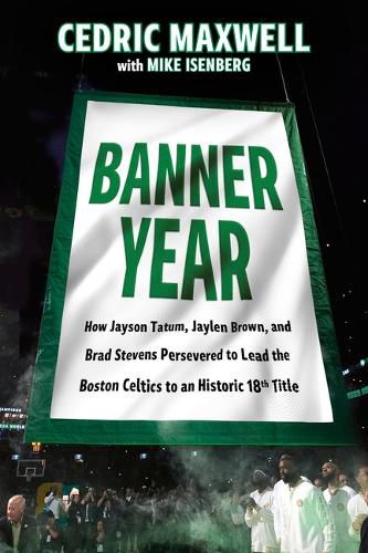 Cover image for Banner Year