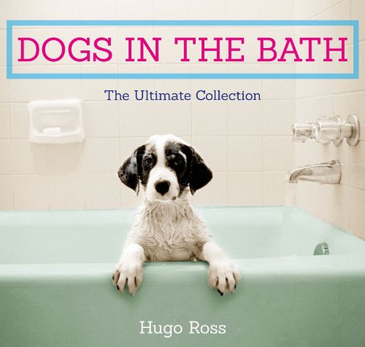 Cover image for Dogs in the Bath: The Ultimate Collection