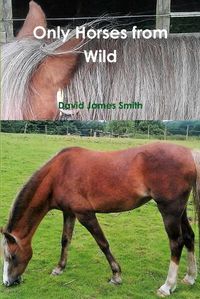 Cover image for Only Horses from Wild