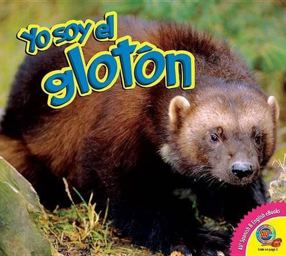 Cover image for El Gloton