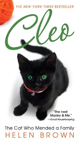 Cover image for Cleo: The Cat Who Mended a Family