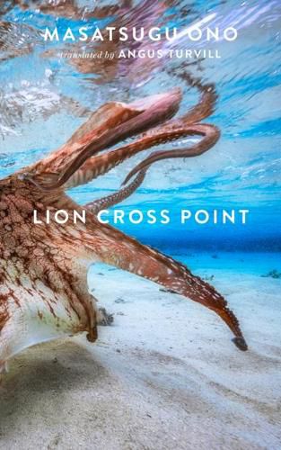 Cover image for Lion Cross Point