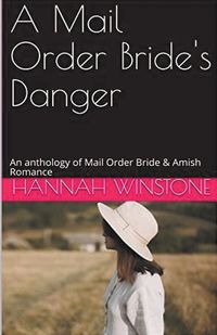 Cover image for A Mail Order Bride's Danger