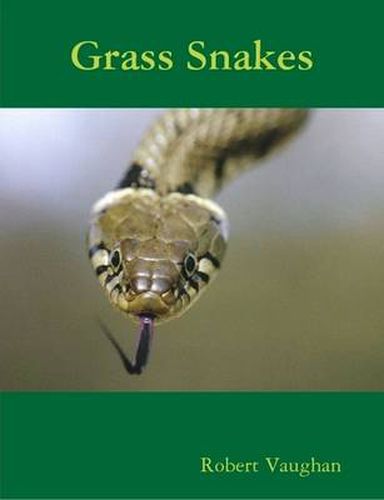 Grass Snakes