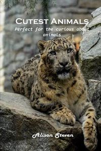 Cover image for Cutest Animals: Perfect for the curious about animals