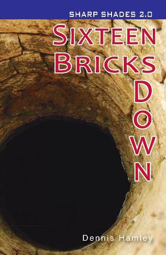 Cover image for Sixteen Bricks Down  (Sharp Shades)