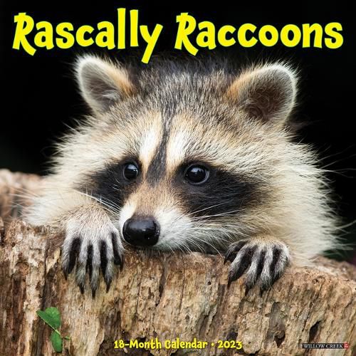 Cover image for Rascally Raccoons 2023 Wall Calendar
