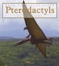 Cover image for Pterodactyl