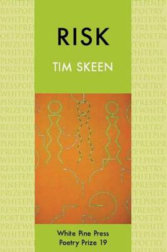 Cover image for Risk