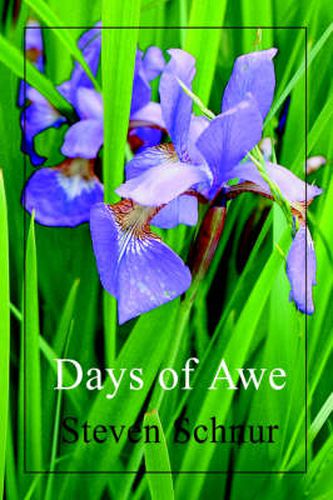 Cover image for Days of Awe