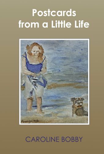 Cover image for Postcards from a Little Life
