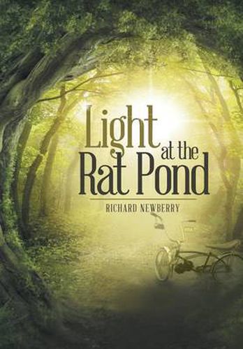 Cover image for Light at the Rat Pond