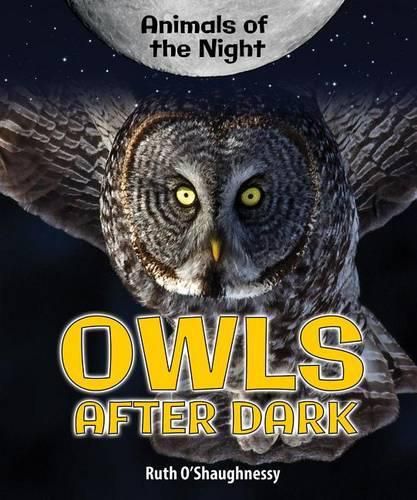 Cover image for Owls After Dark
