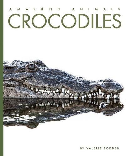 Cover image for Crocodiles