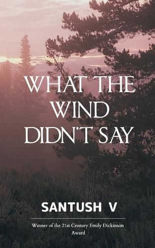 Cover image for What The Wind Didn't Say (Edition1st)