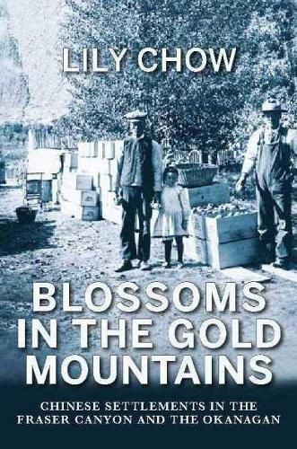 Cover image for Blossoms in the Gold Mountains: Chinese Settlements in the Fraser Canyon & the Okanagan