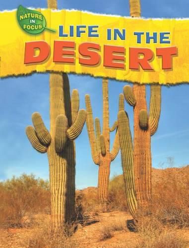 Cover image for Life in the Desert