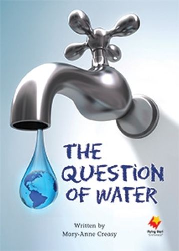 Cover image for The Question of Water