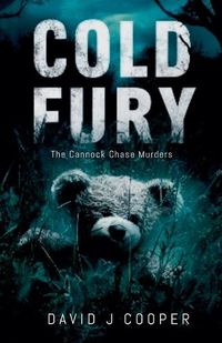 Cover image for Cold Fury