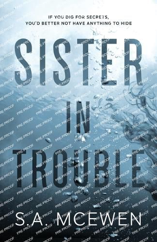 Cover image for Sister in Trouble