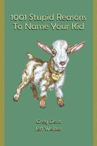 Cover image for 1001 Stupid Reasons to Name Your Kid