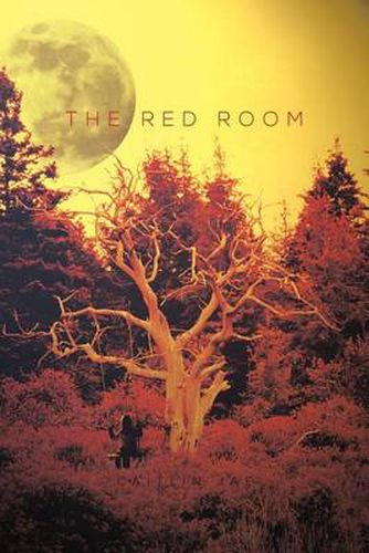 Cover image for The Red Room